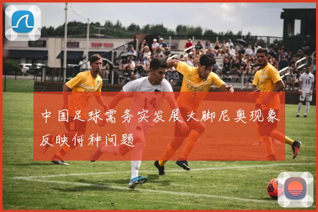 中国足球需务实发展大脚尼奥现象反映何种问题