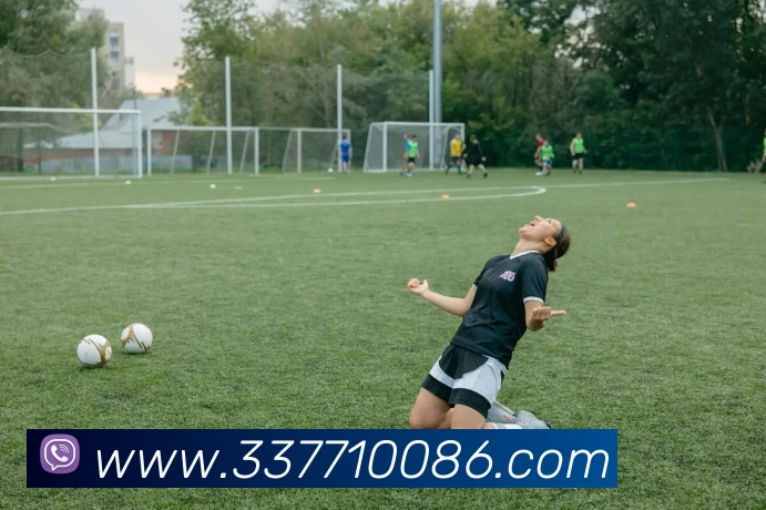 3377体育APP 高清赛事图